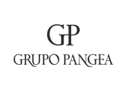 Partner 21